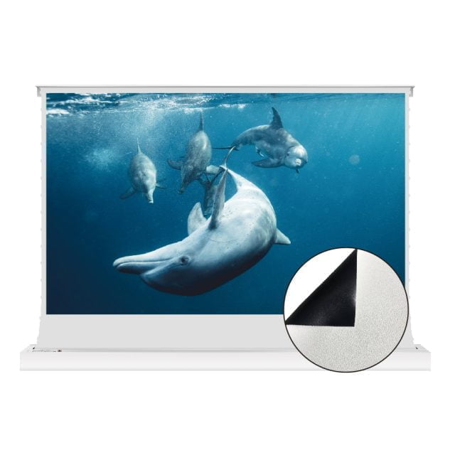 VIVIDSTORM Projector Screens CANADA Official Site