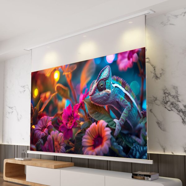 Luxe Vision PixelPro Motorised Cinematic White Drop Down Projector Screen